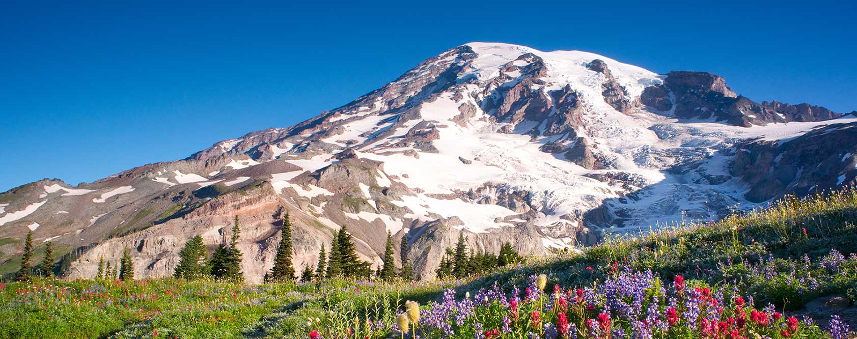 Mt. Rainier